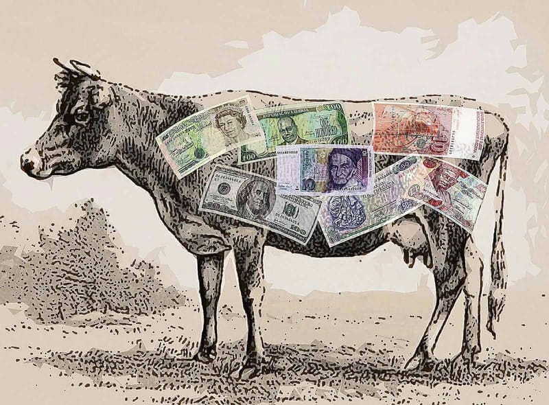 SSL Certificates have been a cash cow for years. 