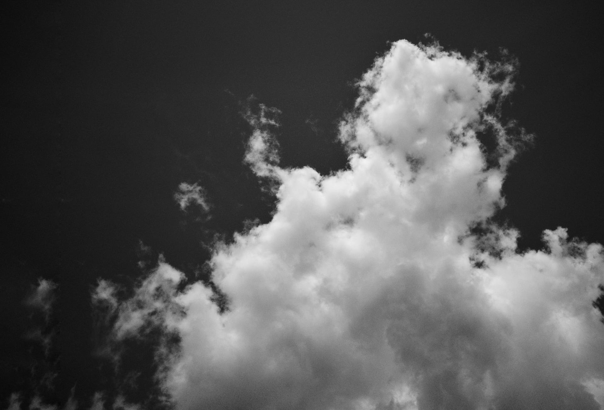 Do you see any animals?